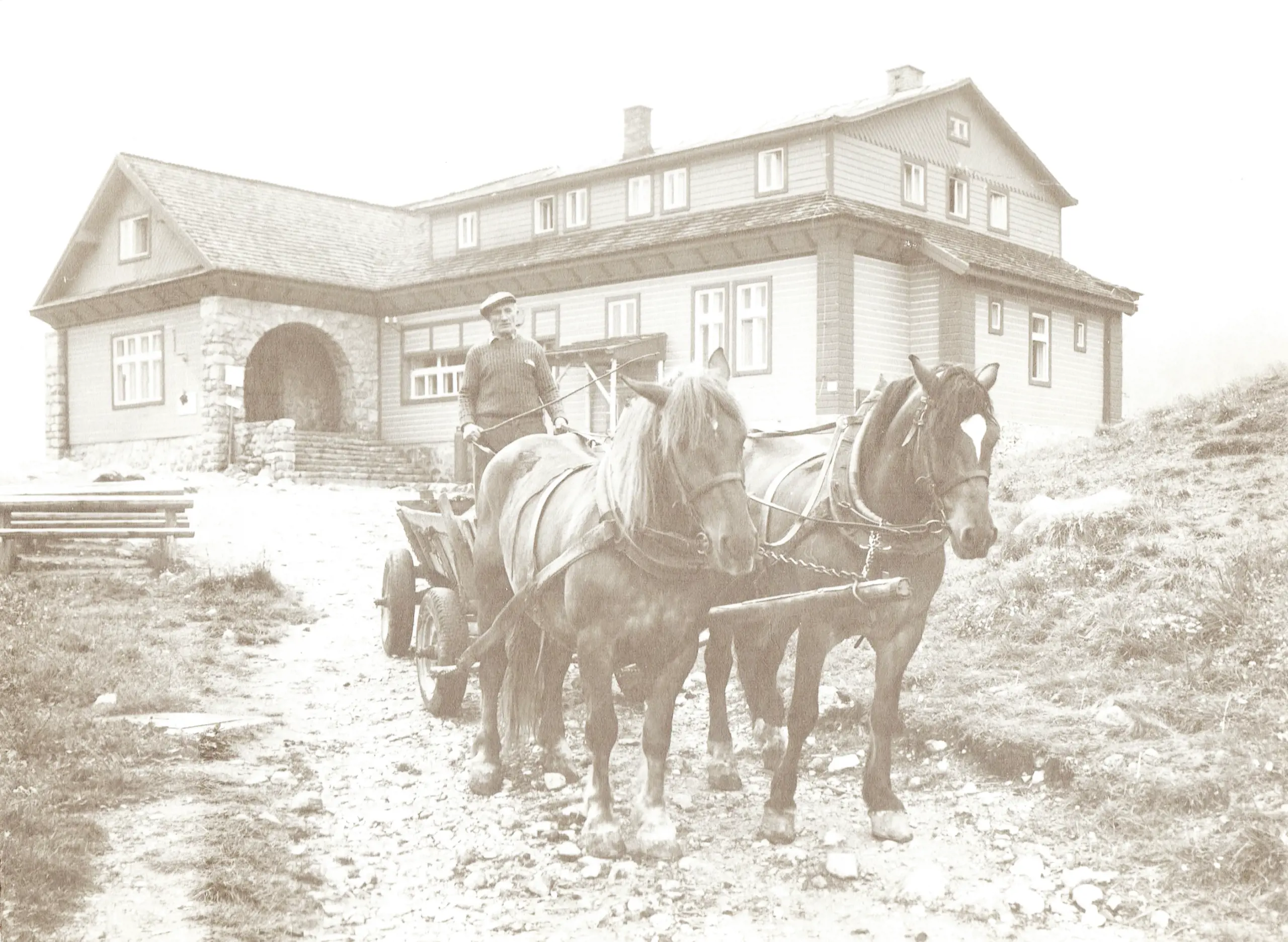 section-bg